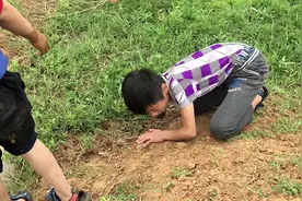 城市小孩来农村掏龙虾，用的什么秘诀，一个小时就能收获满满