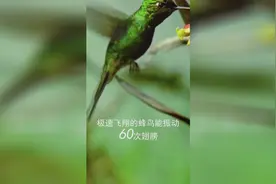 一秒钟能干什么？有很多你无法想象，这一秒为5G点赞