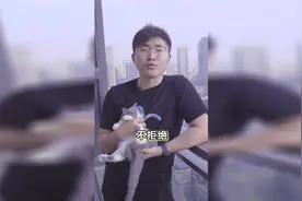 朋友圈表白攻略