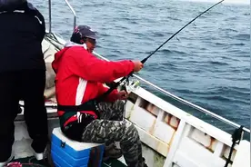 海钓日志：近海章红之战（上）图片