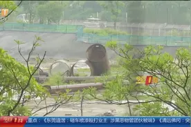 番禺山海湾小区：公共用地说拆就拆？业主质疑开发商违规视频封面