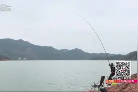 钓鱼：千岛湖9米长竿战巨青，50多斤的大青鱼几个回合便遛翻视频封面