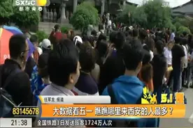 大数据看五一！西安的人都去哪了？哪里来西安的人最多？视频封面