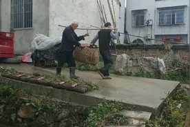 四川泸州小猪价上涨了，买一只70斤重小猪仔就比两月前多100多元