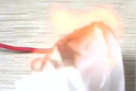 将10000v高压电接在“小强”身上，会发生什么呢视频封面