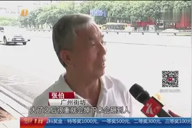 路边大树菠萝结果，街坊担心砸到人，绿化树果实不能采摘食用视频封面
