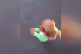 中国第一聪明泰迪，会自己喝饮料，上学，倒立，一只全能狗视频封面