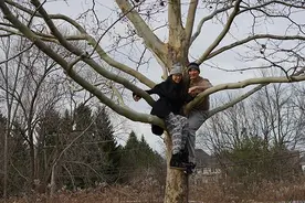 王力宏搞怪庆祝结婚两周年：与老婆爬树留念图片