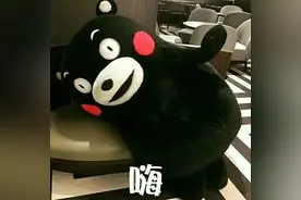 熊本熊：萌到深处天然呆是怎样练成的？图片