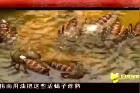 蝎子最怕这些东西，秘诀都在我们身边