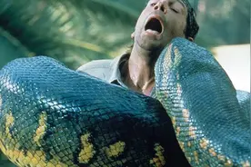 男子野外钓鱼，眼前出现一条巨蟒，好大视频封面