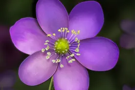 PS 13种必须掌握的常识—jpg格式与JIF格式的区别