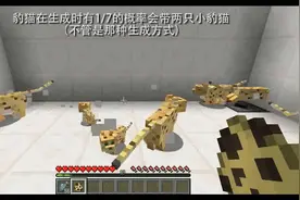 我的世界 关于猫你可能不知道的那些事