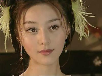 1996年范冰冰参演由刘雪华主演的电视剧《女强人》而正式出道,数来