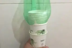 废旧水瓶动动手秒变一次性杯子取杯器 太赞了！