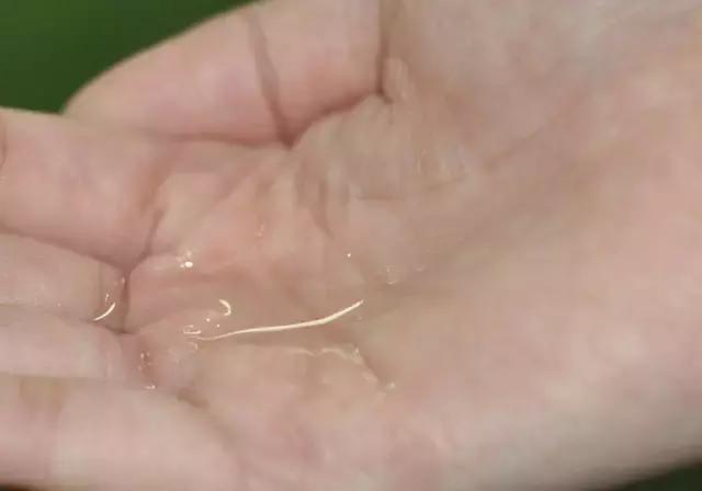 6款亲民护肤水，美妆达人走心推荐！