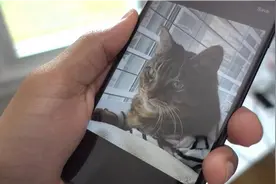 教你使用iPhone 7 Plus拍摄3D摆动照片