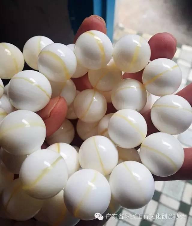 作者:胡杰2013年我去海南省调研,发现继海黄之后,砗磲将成为一个新的