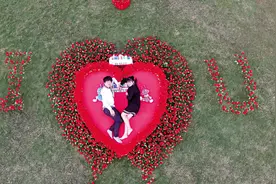 空中航拍玫瑰花海定格爱侣甜蜜瞬间图片