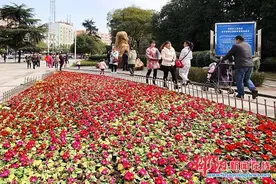 邵阳春暖花开万物欣欣向荣 公园内鲜花争芳斗艳竞相开放图片