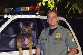 K9警犬与歹徒英勇搏斗，头部被砍的面目全非，却依然生擒歹徒！图片