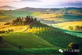 最好的爱，是灵魂的相依图片