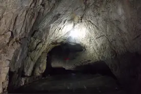 孙子是儿媳和女婿生的，三胞胎三个爹图片