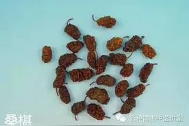 老百姓身边的御用滋补圣果图片