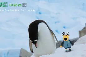 超实用的打包技巧，一般人我不告诉他！图片