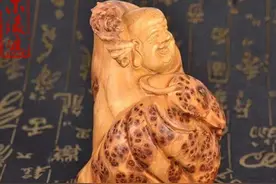 崖柏，就是长在悬崖上的柏树！图片