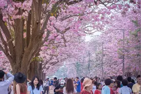 泰国有个浪漫的地方，在这表白的都成功了！图片