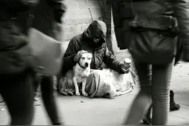 流浪汉与狗狗爱的故事：只要有主人在的地方，就是它最幸福的家图片