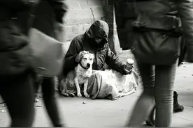 流浪汉与狗狗爱的故事：只要有主人在的地方，就是它最幸福的家图片