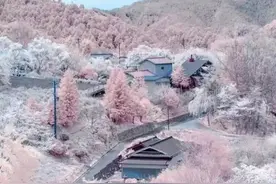 为你剪影翩翩起舞图片