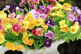 布艺假花手工制作 碎布diy布艺花图片