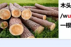看图说英语木头wood一块木头a piece of wood