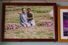 台媒：日本丈夫种芝樱花海 助失明妻子走出阴霾图片