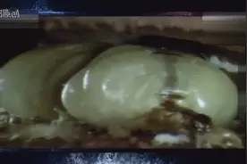 野外发现一座白蚁王国他们在这里生存了至少有几个世纪视频封面