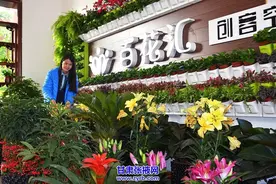 张建民和他的“花花世界”图片