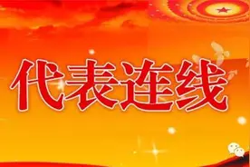 代表连线访市人大代表、商城县委书记李高岭图片