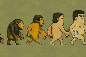 当产品迭代时狗狗在做什么图片