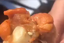 惊人！孕妇从肯德基翅桶里，吃出了大量白色幼虫！图片