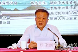 鄂旅投董事长刘俊刚：体育旅游是下一个投资风口(图)图片