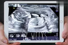 两分钟看完漂亮妈妈孕期的身材变化过程，十个月从美少女到大肚婆视频封面