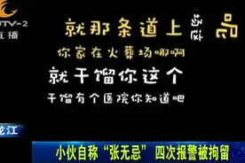 小伙满嘴跑火车，自称“张无忌”，打了四次110找警察唠嗑视频封面