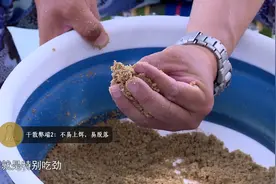 老专家教你黑坑散炮怎么用，这些你都知道吗？视频封面
