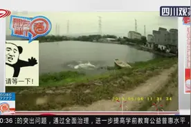 手机的命更重要？女子跳水，竟然不忘把手机扔在湖边！视频封面