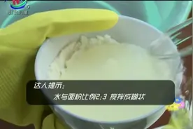 家里过期的面粉，千万不要丢掉，还有你想不到的用途在这里视频封面
