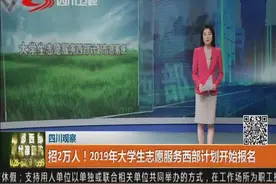 好消息！招2万人！2019年大学生志愿服务西部计划开始报名