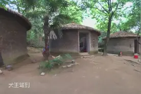 隐藏在小岛上的矮人部落，身高都在1米以下，探访袖珍人家园